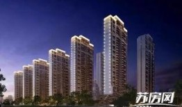 苏高新最新爆料,揭秘企业创新与发展背后的故事